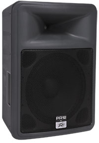 Peavey two-way speaker